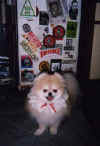 leelee